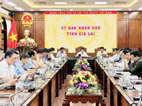 Gia Lai: Nhiều cán bộ thiếu nghiêm túc khi họp trực tuyến