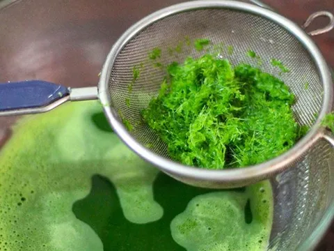 Loại rau hiếm khi “ngậm” thuốc trừ sâu, ngoài chợ bán rất nhiều