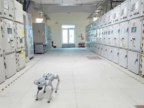 Phát hiện "mắt thần" tại trạm biến áp của EVNHANOI: Không cần con người vẫn có thể đọc rơle, truy tìm lỗi