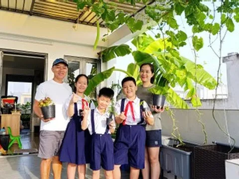 Ông bố 3 con ở TPHCM biến sân thượng từ nhà đến công ty thành vườn rau xanh mướt