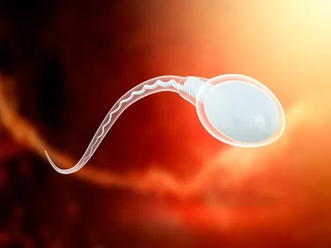 Hay dùng đồ nhựa "1 lần", quý ông có thể gặp nguy