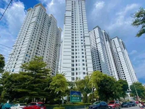 Bất động sản năm 2026: Dòng tiền sẽ chảy vào đâu?