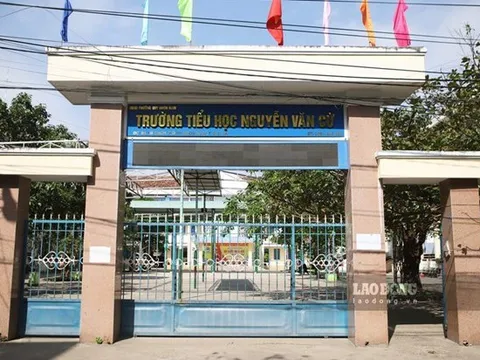 Gia Lai yêu cầu xử lý dứt điểm các vụ việc xảy ra tại Trường Tiểu học Nguyễn Văn Cừ