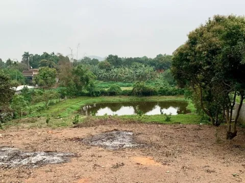 Bộ NN&MT phản hồi về việc xin “lên thổ cư” 500m2 đất vườn mua giấy tờ xã từ năm 1995