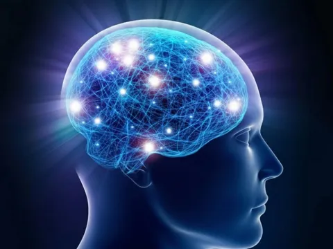 Phát hiện “công tắc" đảo ngược lão hóa