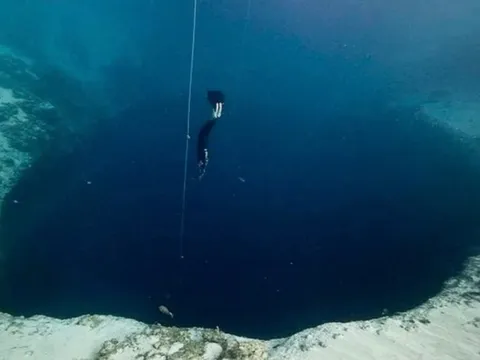 Phát hiện hơn 1.700 virus cổ đại dưới đáy Biển Đông