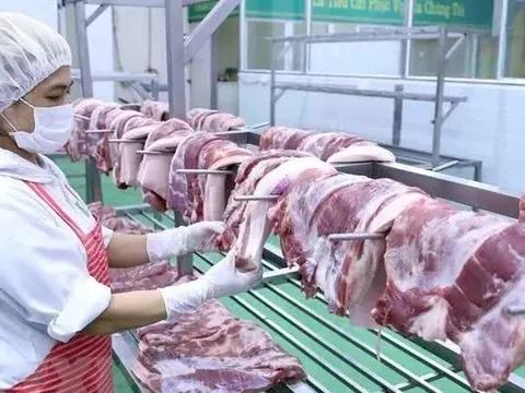 Việt Nam xếp thứ 4 thế giới về tiêu thụ thịt lợn