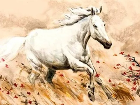 Tử vi tuổi Ngọ năm 2026 chi tiết từng năm sinh