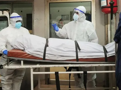 Virus Nipah tử vong tới 75%: Hướng dẫn điều trị mới nhất