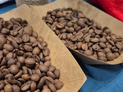 Giá cà phê hôm nay 14-2: Chốt tuần tăng tiếp