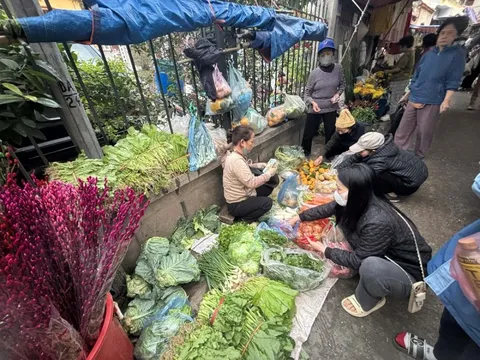 Gần Tết Nguyên đán, rau xanh đứng giá, thịt cá nhích nhẹ