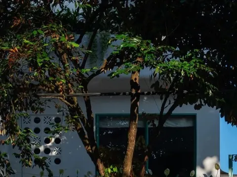 Gia chủ thư thái trong ngôi nhà màu xanh dịu mát