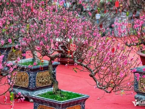 Văn khấn giao thừa tết Bính Ngọ trong nhà, ngoài trời đúng nghi thức cổ truyền