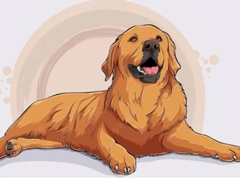 Tử vi tuổi Tuất năm 2026: Thành công và may mắn trên mọi phương diện