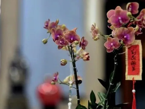 Sau Tết, điều còn đọng lại là gì?