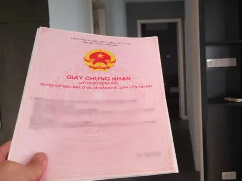 Trường hợp nào được cấp Giấy chứng nhận và miễn tiền sử dụng đất?