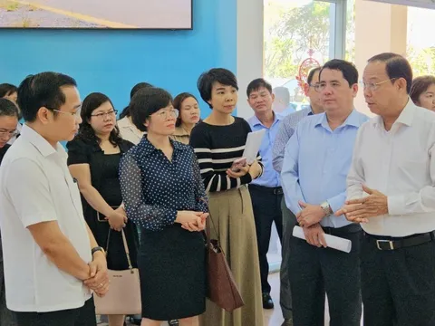 TPHCM báo cáo Hội đồng bầu cử quốc gia về việc tổ chức bầu cử sớm