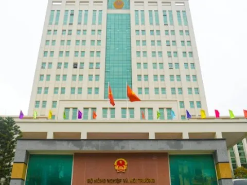 3 phương thức phản ánh vi phạm đất đai tới Bộ NN&MT