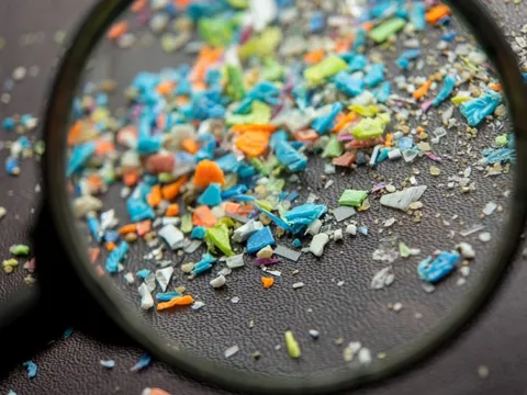 Vi nhựa xuất hiện trong một loạt khối u ung thư