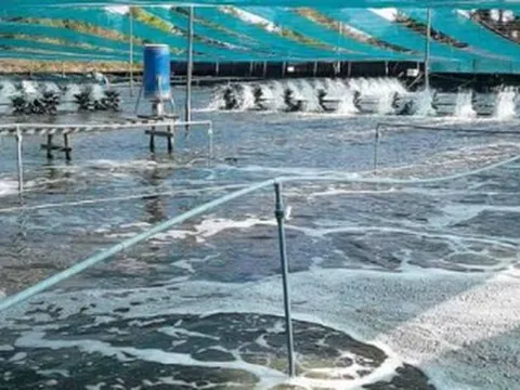 Việt Nam vừa đón tin cực vui từ Mỹ và Trung Quốc