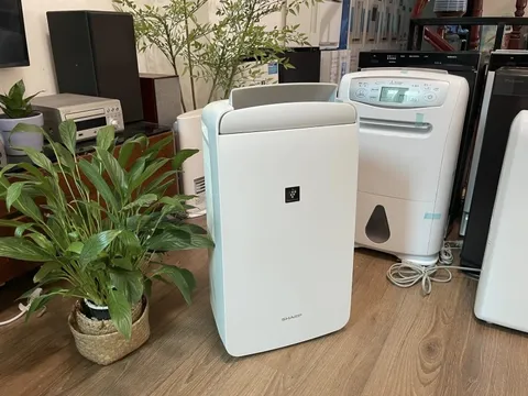 Món đồ hot nhất lúc này, đại lý nhập gấp 10 lần vẫn không kịp bán