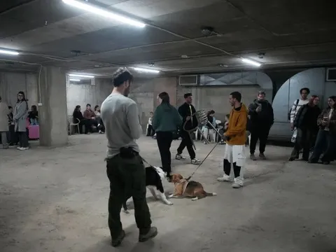 Việt Nam khuyến cáo khẩn cộng đồng người Việt tại Israel