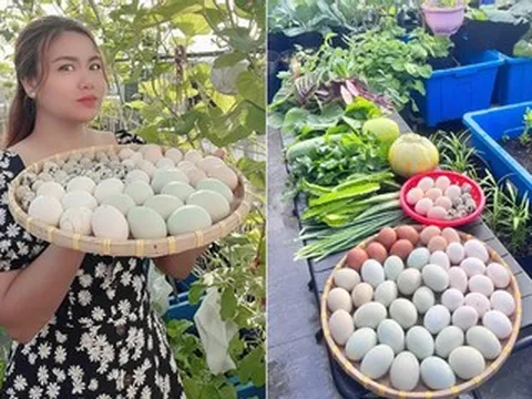 Mẹ đảm Đồng Nai nuôi gà, chim cút, trồng vườn rau xanh mướt trên sân thượng