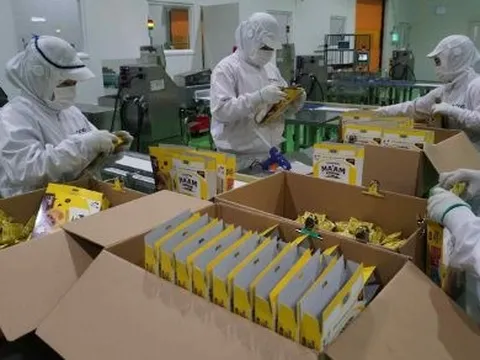 Một ‘đại bàng’ Nhật Bản chọn Việt Nam xây tổ, nước ta trở thành trung tâm xuất khẩu đi 12 nước