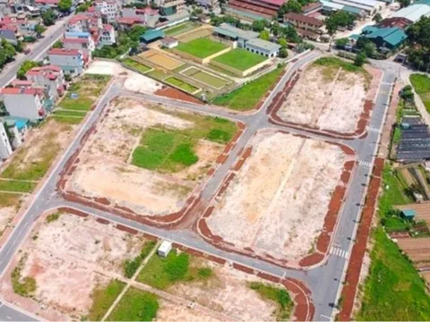 Đấu giá đất ven đô Hà Nội: Tăng nhiệt cục bộ hay tín hiệu hồi phục thị trường?