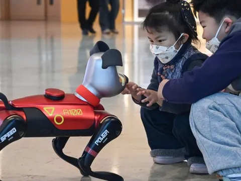 Khi nền kinh tế thích nghi với sự cô đơn