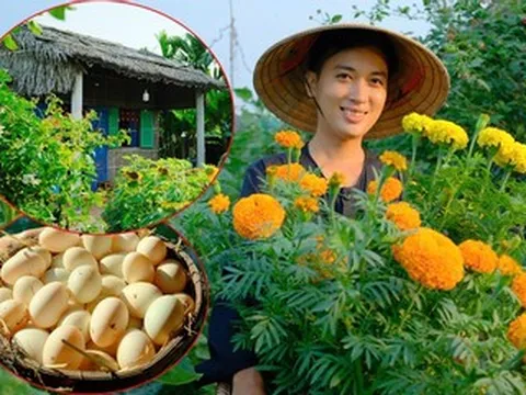 Chàng trai rời phố về quê dựng nhà lá 40m2, xây khu vườn đẹp mê mẩn