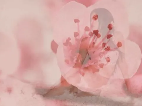 Siêu mẫu giàu nhất nước Đức diện nội y cực nóng bỏng bên con gái cưng