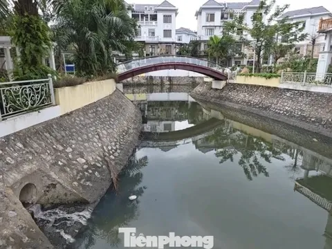 Cận cảnh ‘kênh khu nhà giàu’ ở Quảng Ninh ô nhiễm nặng