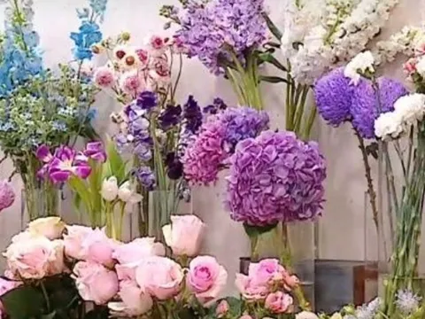 Thị trường hoa 8/3: Giá tăng, khách chọn bó hoa vừa túi tiền