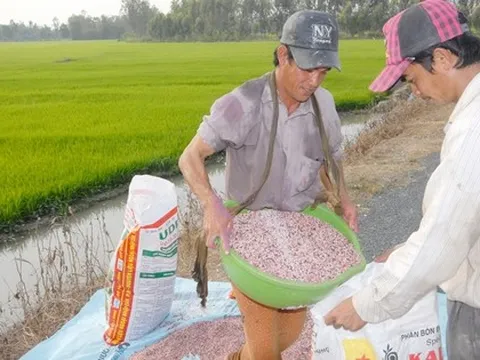 Xung đột Trung Đông khiến giá phân bón tăng mạnh, có tác động tới Việt Nam?