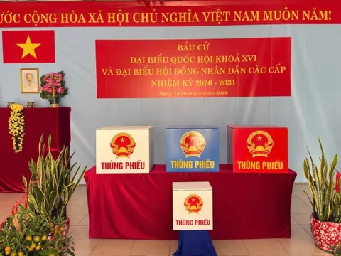 TPHCM kiện toàn nhân sự 13 ban bầu cử đại biểu Quốc hội