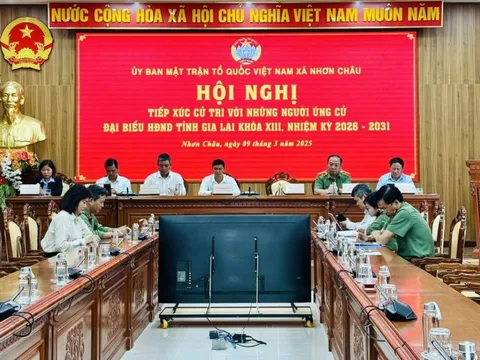 Biển động, ứng cử viên đại biểu HĐND Gia Lai tiếp xúc cử tri trực tuyến với xã đảo