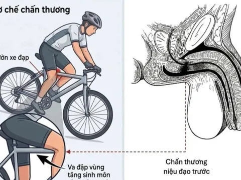 Cảnh báo chấn thương tiềm ẩn nguy hiểm ở trẻ em sau tai nạn tưởng chừng nhẹ