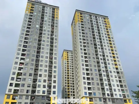 Nhà thương mại giá phù hợp khống chế lợi nhuận tối đa 15%