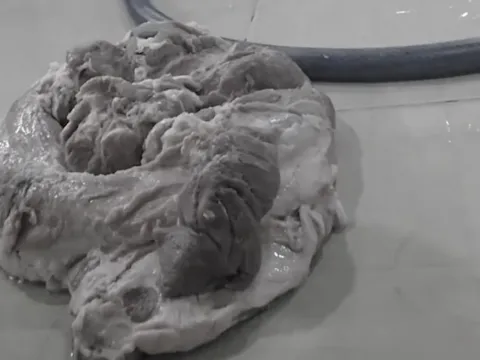 7 trường học ở TP.HCM sử dụng suất ăn do Sago Food cung cấp