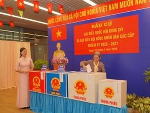 Tỉ lệ cử tri đi bầu cử của TPHCM đạt 96,67%