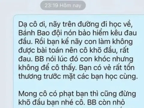 Con đi học về kêu đau vì bị cô phạt gõ đầu, đoạn tin nhắn của mẹ Việt khiến dân mạng tranh cãi