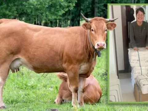 Cô gái đi làm xa bị ốm, xúc động nhận kiện hàng đặc biệt từ quê nhà