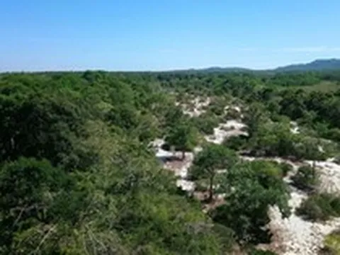 Làm rõ nguyên nhân giảm hơn 17.700 ha rừng tự nhiên ở Lâm Đồng