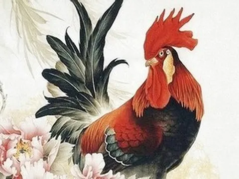 Tử vi tuổi Dậu năm 2026 chi tiết từng tháng và cách hóa giải vận hạn