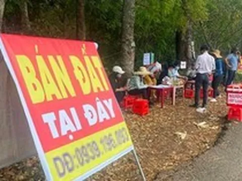 Đầu cơ gặp khó, nhà đầu tư nên “tính chuyện đường dài”