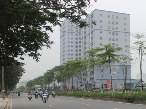 Thêm cơ hội sở hữu nhà cho người độc thân