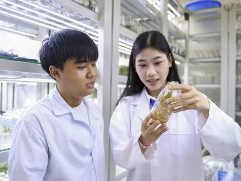 Một trường đại học ở TP.HCM cho sinh viên nghỉ Tết 2027 gần một tháng