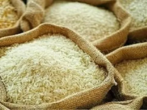 Giá gạo toàn cầu dự báo tăng mạnh