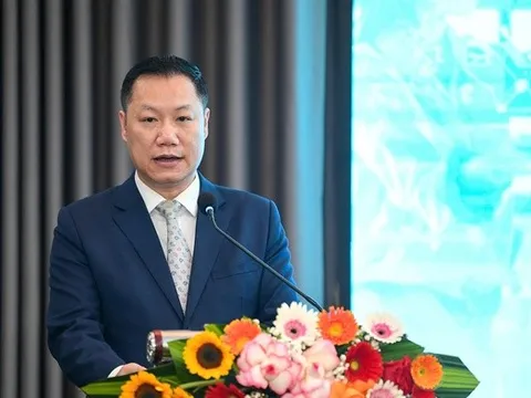 Vụ trưởng Vụ Giáo dục Đại học: "Tính xấu của người Việt làm cản trở người tài”